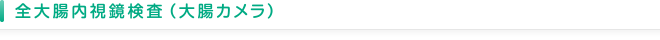 全大腸内視鏡検査（大腸カメラ）
